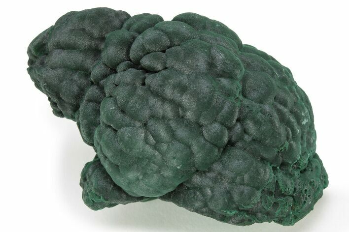 Chatoyant Botryoidal Malachite Formation - Shilu Mine, China #223513